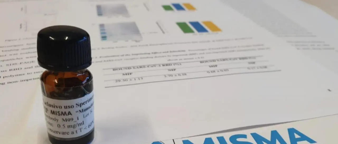 Gli anticorpi dell'Unical bloccano la replicazione del coronavirus: i dettagli