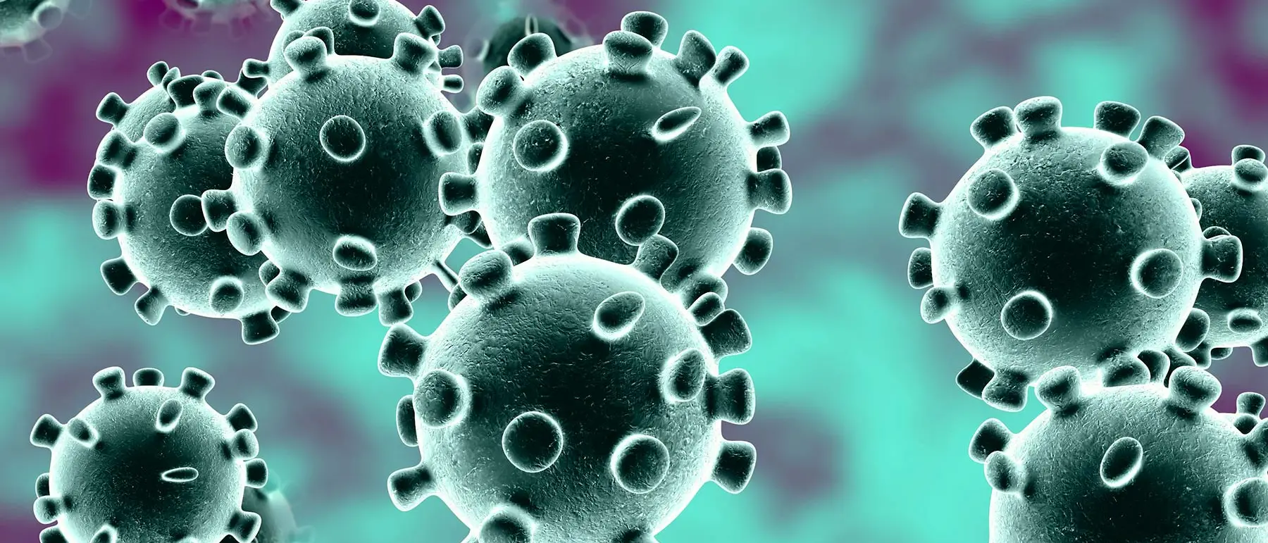 Coronavirus in Calabria, sono 444 i nuovi contagi nelle ultime 24 ore