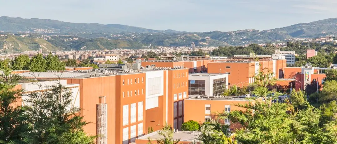 Dai tumori al Covid, ecco com’è nato l’anticorpo sviluppato dall’Unical