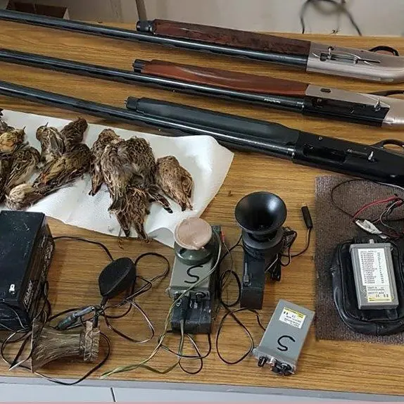 Turismo venatorio, denunciati cacciatori a Castrovillari e Terranova