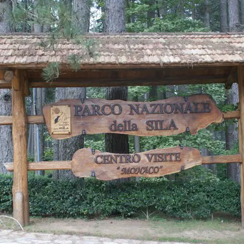 L’inquinamento provocato dagli incendi si propaga per centinaia di chilometri: uno studio sulla Sila