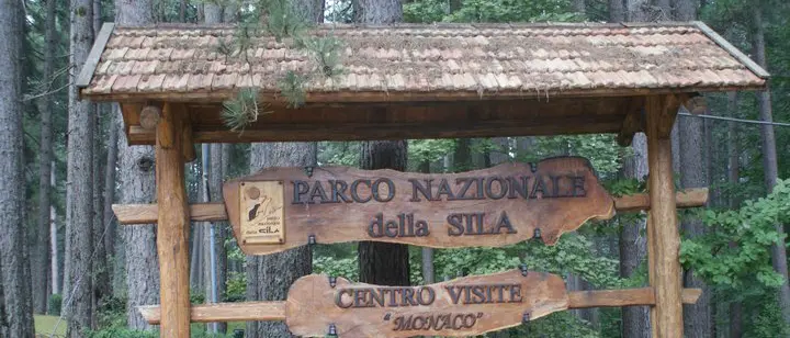 L’inquinamento provocato dagli incendi si propaga per centinaia di chilometri: uno studio sulla Sila