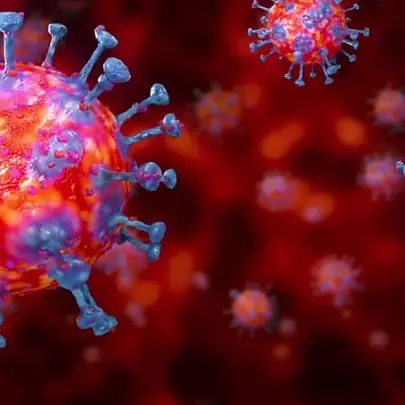 In Calabria 116 nuovi contagi da coronavirus: bollettino del 23 febbraio