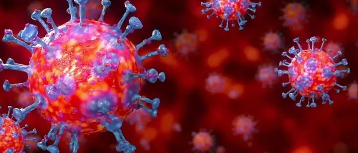 Sono 358 i nuovi casi di Coronavirus in Calabria: ecco la mappa