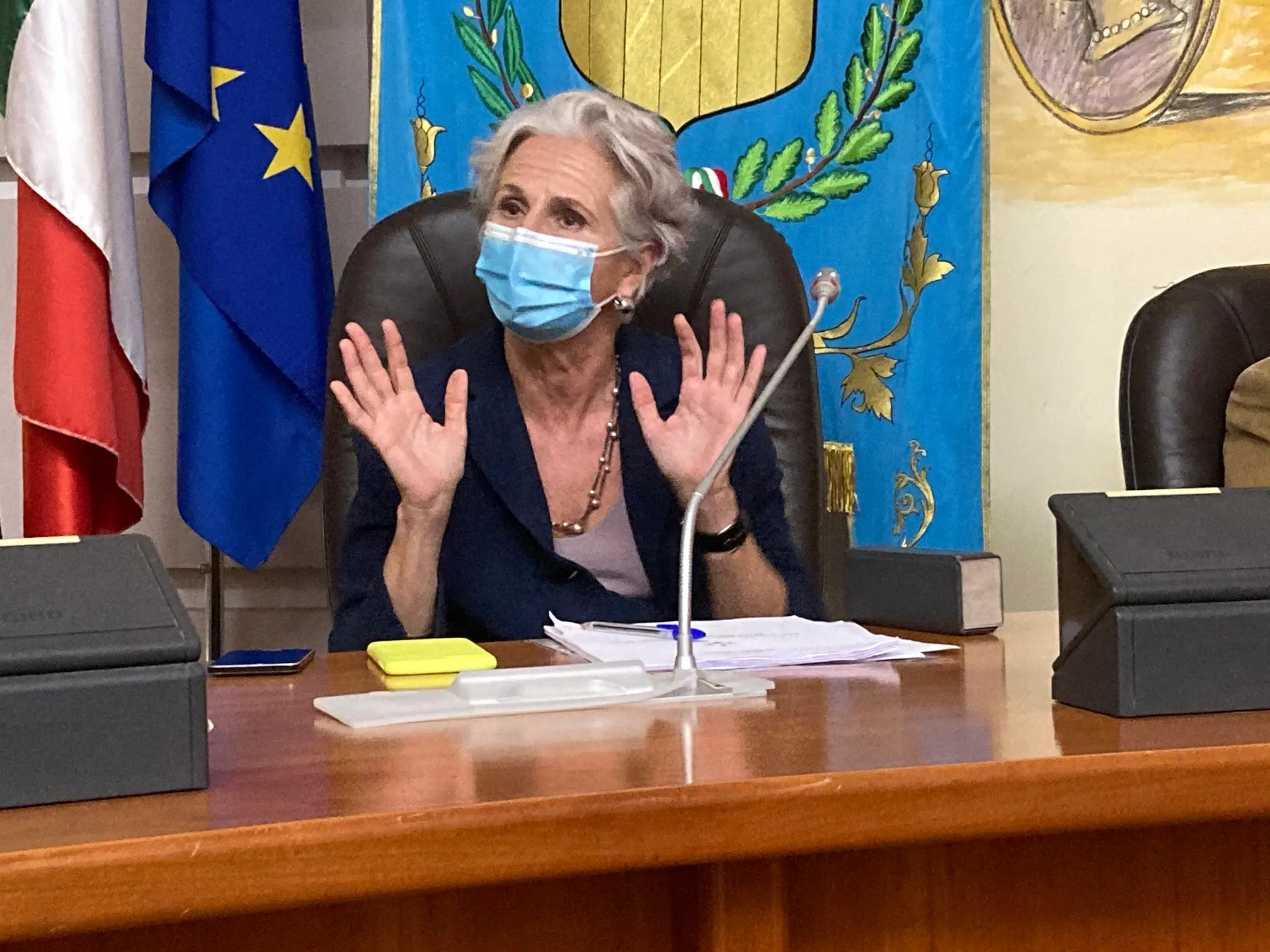 Covid 19: audizione in Commissione sanità del commissario straordinario dell’ASP Cinzia Bettelini