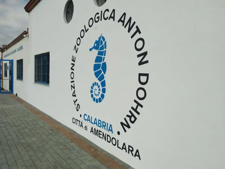 Amendolara, fervono i lavori alla stazione Zoologica \"Anton Dohrn\"