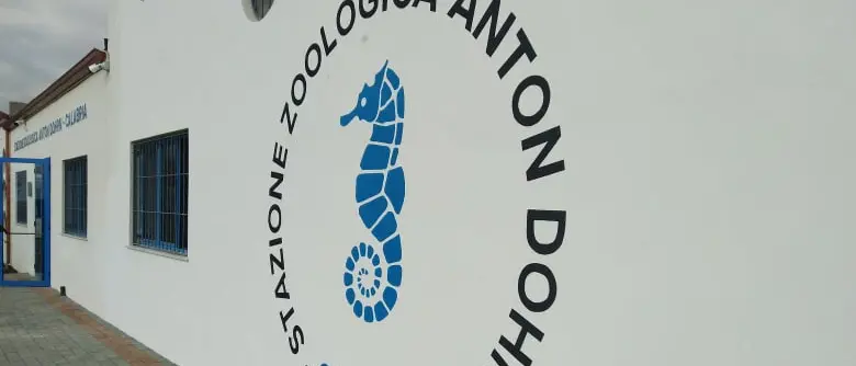 Amendolara, fervono i lavori alla stazione Zoologica \"Anton Dohrn\"