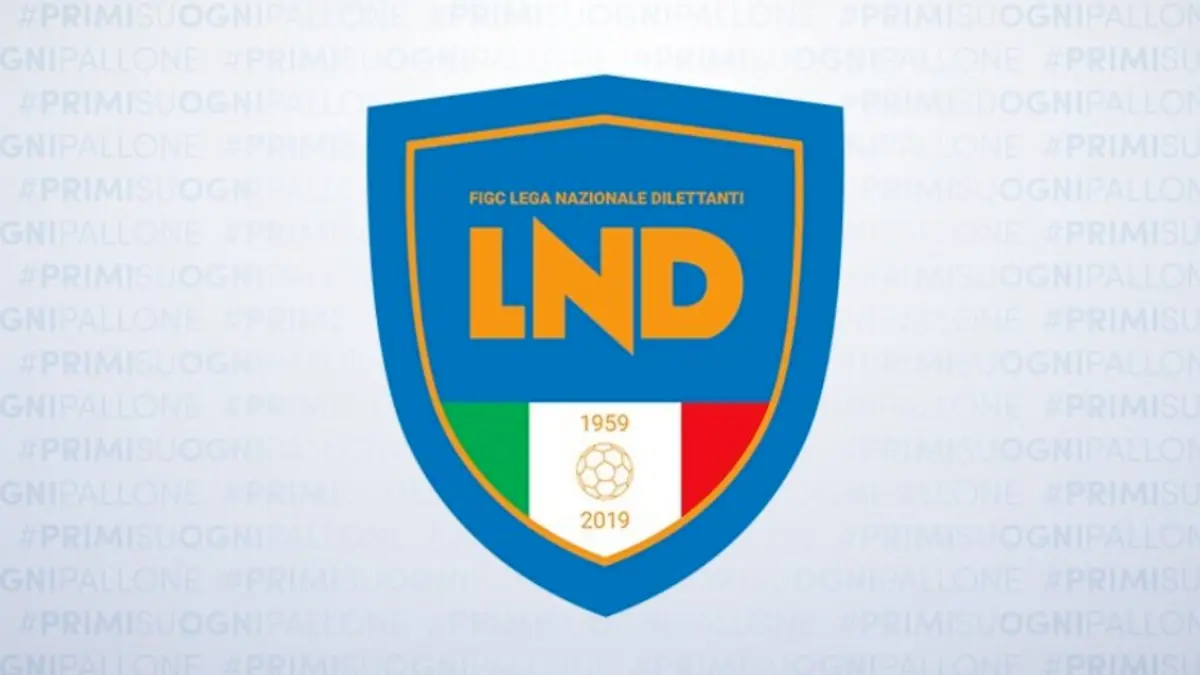 Serie D, ecco il girone delle calabresi