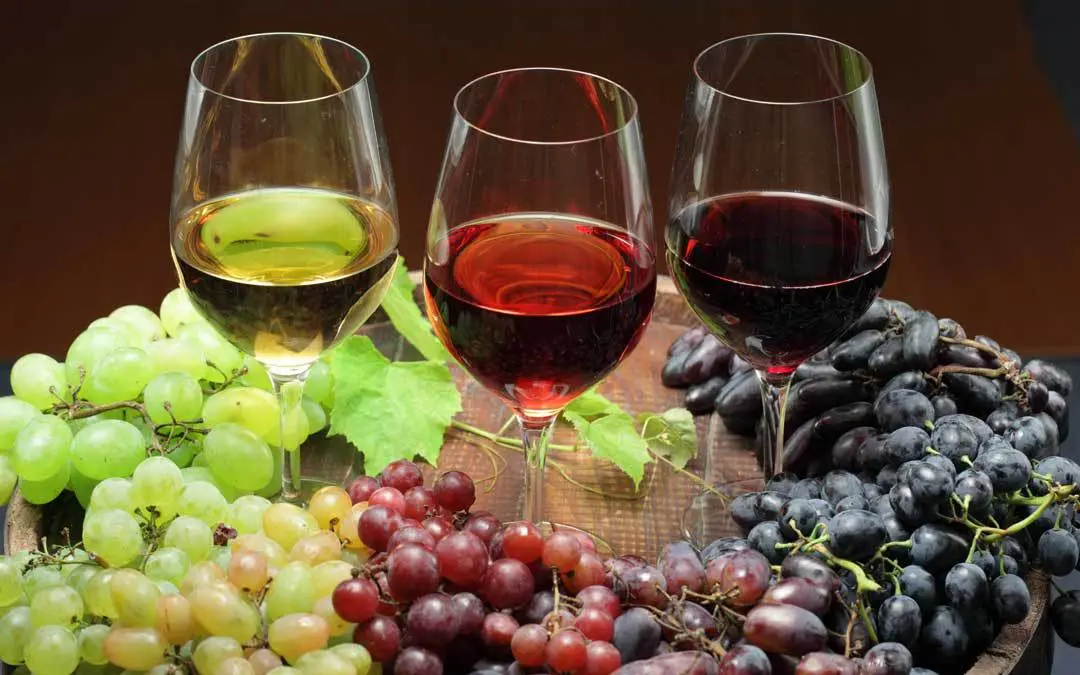 Vino, la bottiglia smart che protegge dalle truffe
