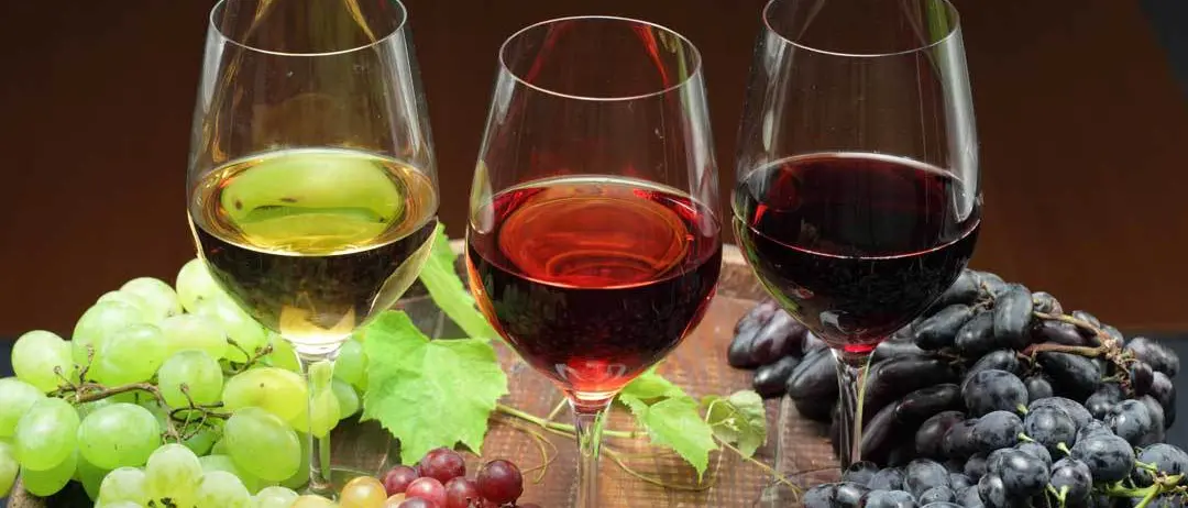 Vino, la bottiglia smart che protegge dalle truffe