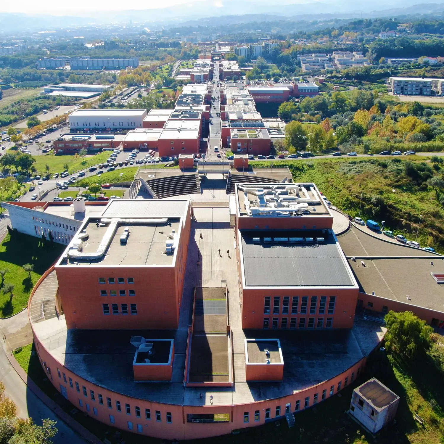 Informatica, il professor Giancarlo Fortino tra i ricercatori più citati al mondo