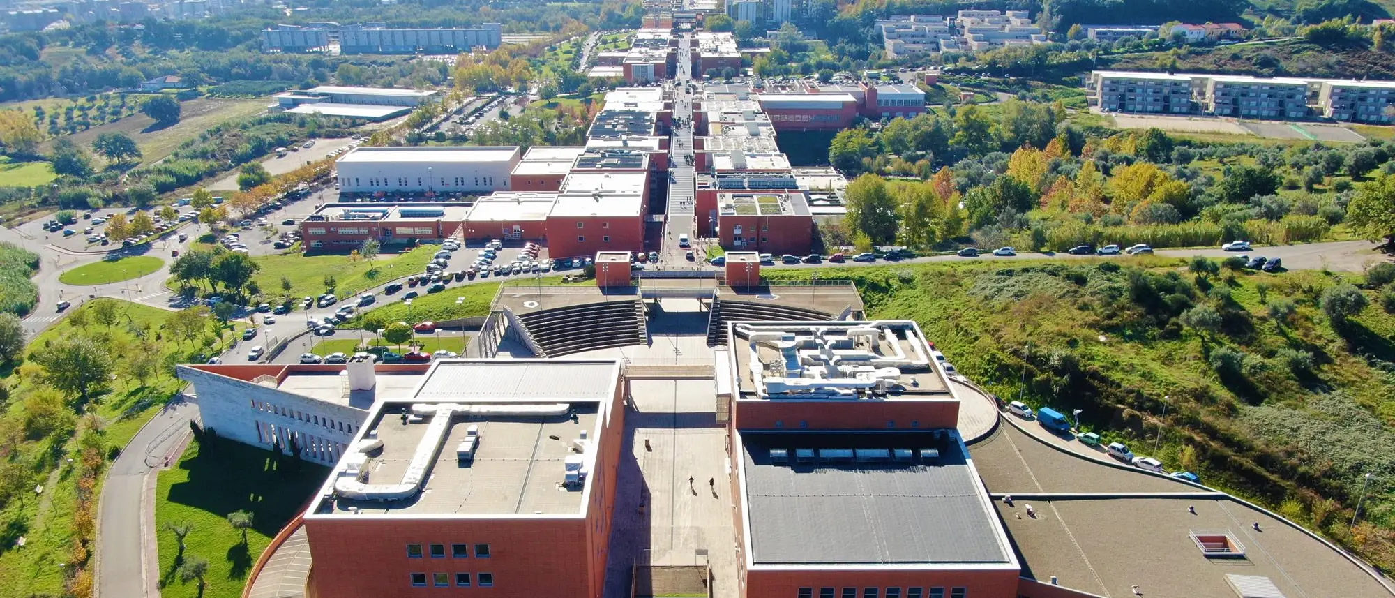 Informatica, il professor Giancarlo Fortino tra i ricercatori più citati al mondo