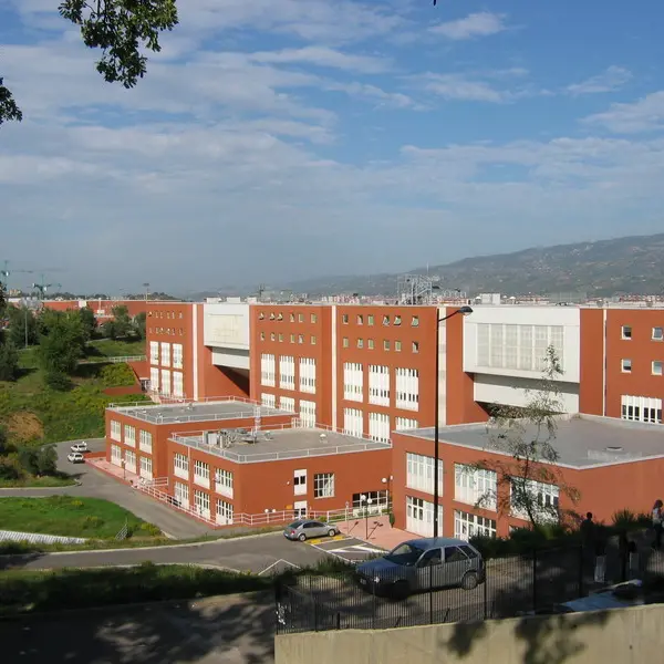 Innovativo sistema di tele-chirurgia mini-invasiva