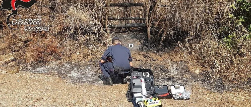 Cariati: danno fuoco ai terreni per trarre profitto per il pascolo, denunciati