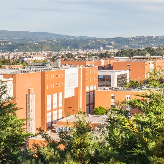 Consegna a domicilio dei tesserini universitari