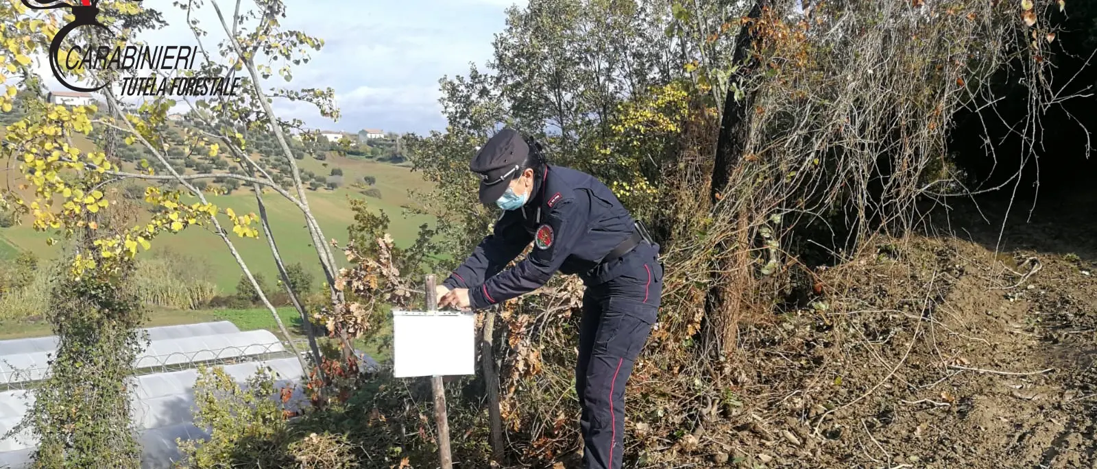 Tarsia e S.Marco Argentano: denunce e sequestri dei Carabinieri Forestale