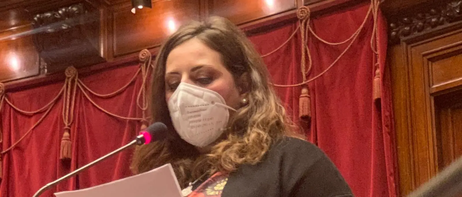 “Decreto Calabria bis: adesso scatto di orgoglio corale per superare il piano di rientro”