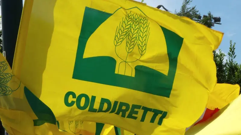 Covid: Coldiretti, con Calabria gialla riaprono 15 mila ristoranti e agriturismi