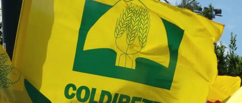 Covid: Coldiretti, con Calabria gialla riaprono 15 mila ristoranti e agriturismi