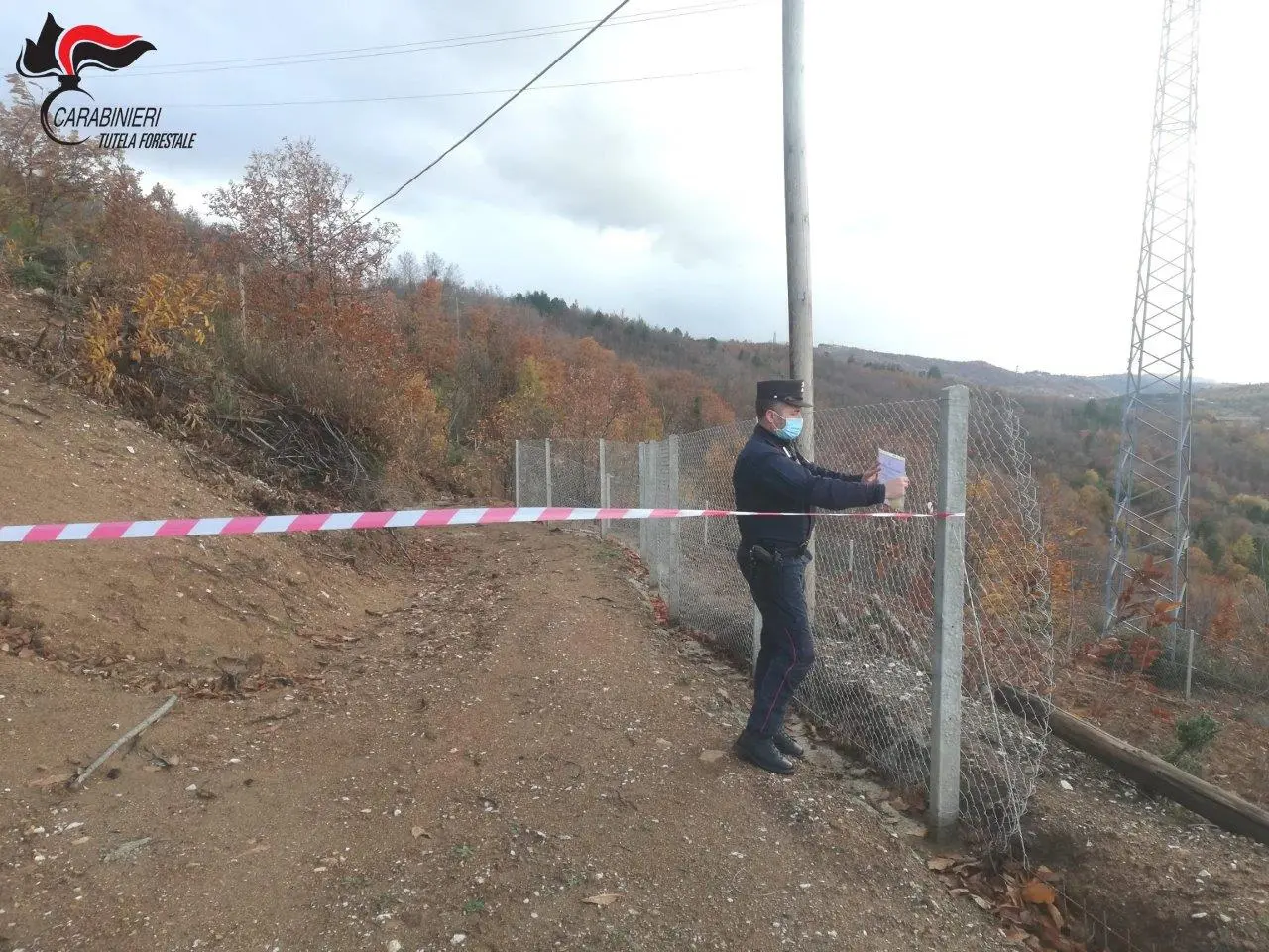 Acri: taglio boschivo abusivo, sequestro in località \"Ordichetto\"