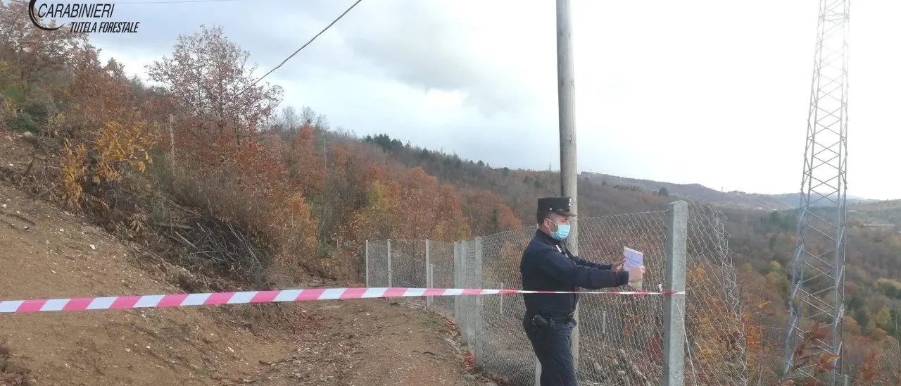 Acri: taglio boschivo abusivo, sequestro in località \"Ordichetto\"