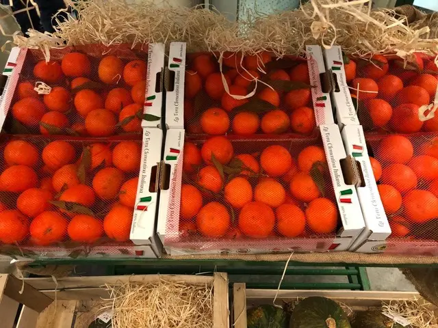 Coldiretti, continua l’impegno per la valorizzazione della clementina IGP Calabria