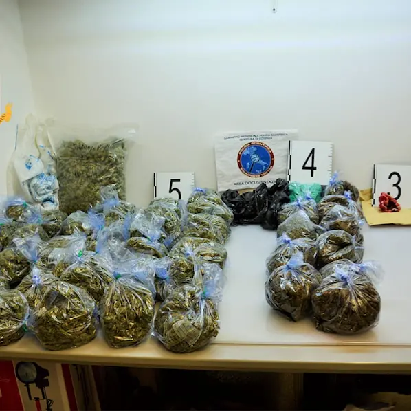 Cosenza, arrestato 21enne: trovato con 6 chili di marijuana e una pistola