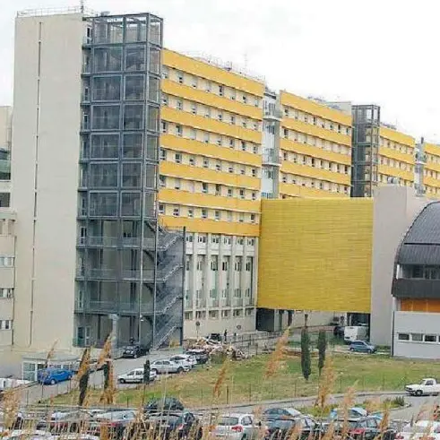 «Il corso di Laurea in Ingegneria Biomedica esiste già dal 2002»