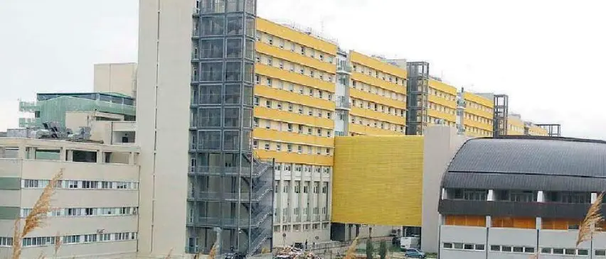 «Il corso di Laurea in Ingegneria Biomedica esiste già dal 2002»