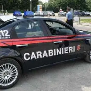 Si allontana da casa e finisce in un torrente, salvato dai carabinieri