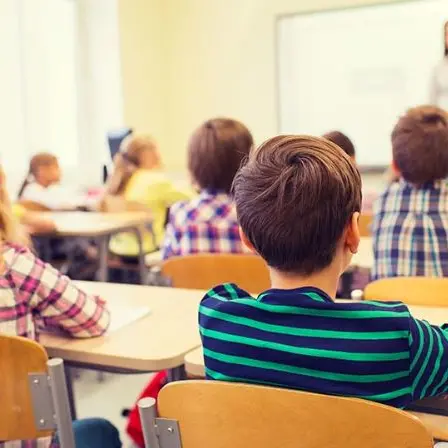 Il Tar della Calabria riapre le scuole elementari e medie. Chiuse le superiori