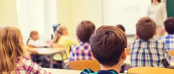 Il Tar della Calabria riapre le scuole elementari e medie. Chiuse le superiori