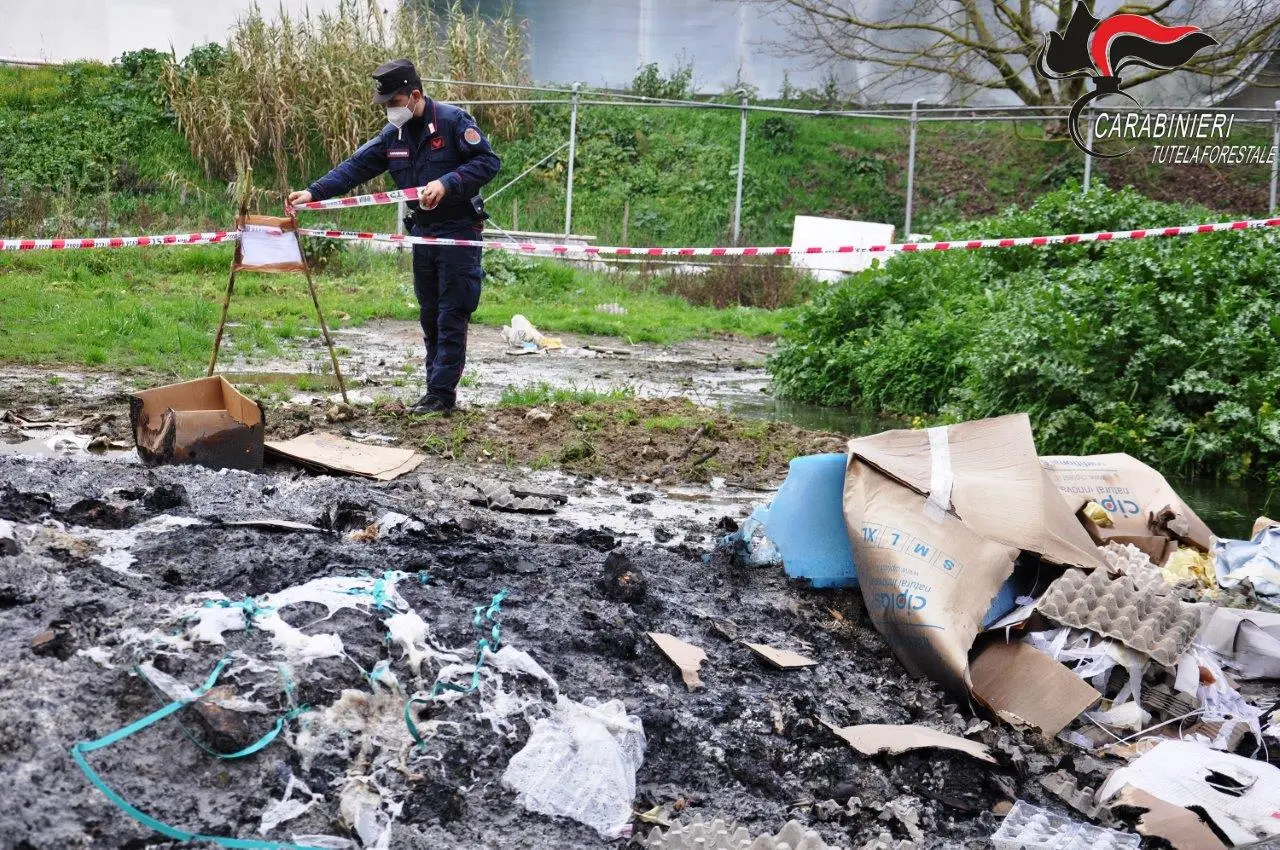 Cosenza, denunciati amministratori azienda avicola