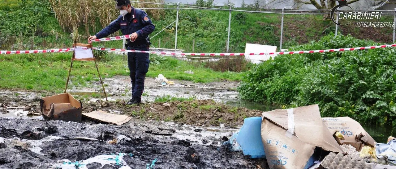 Cosenza, denunciati amministratori azienda avicola