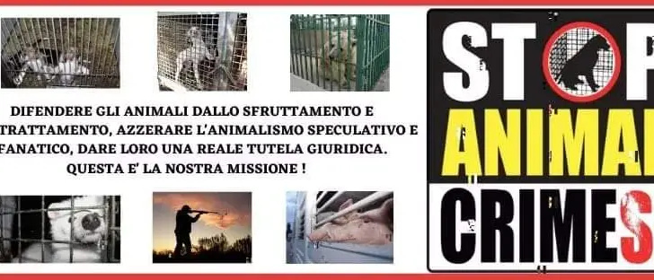 La Calabria alzi la testa. Anche gli Animali hanno diritto alla dignità