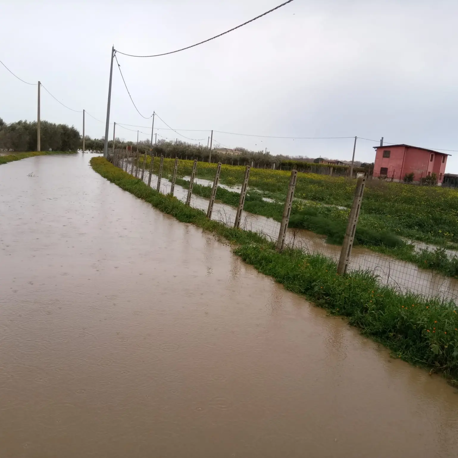 Confagricoltura Cosenza interviene sull’esondazione del fiume Crati a Corigliano-Rossano