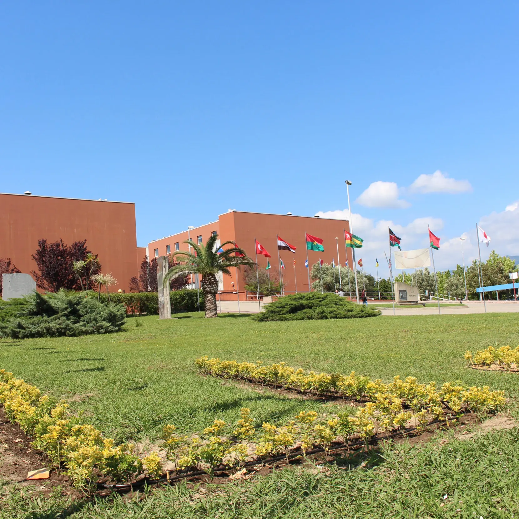 Laboratori e residenze restano aperti in ateneo, a distanza esami e lauree