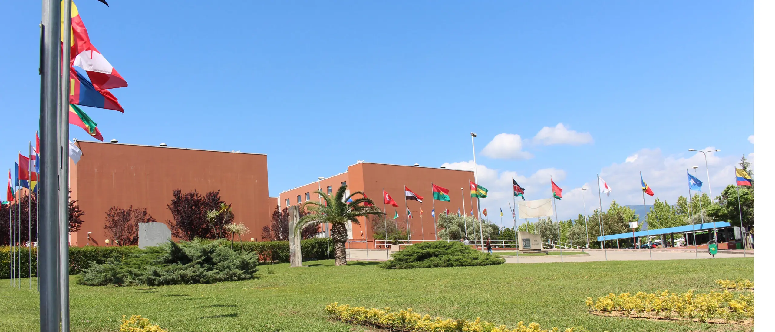 Laboratori e residenze restano aperti in ateneo, a distanza esami e lauree