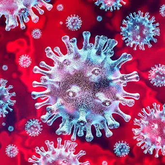Il bollettino del 20 gennaio: in Calabria 313 nuovi casi di Coronavirus
