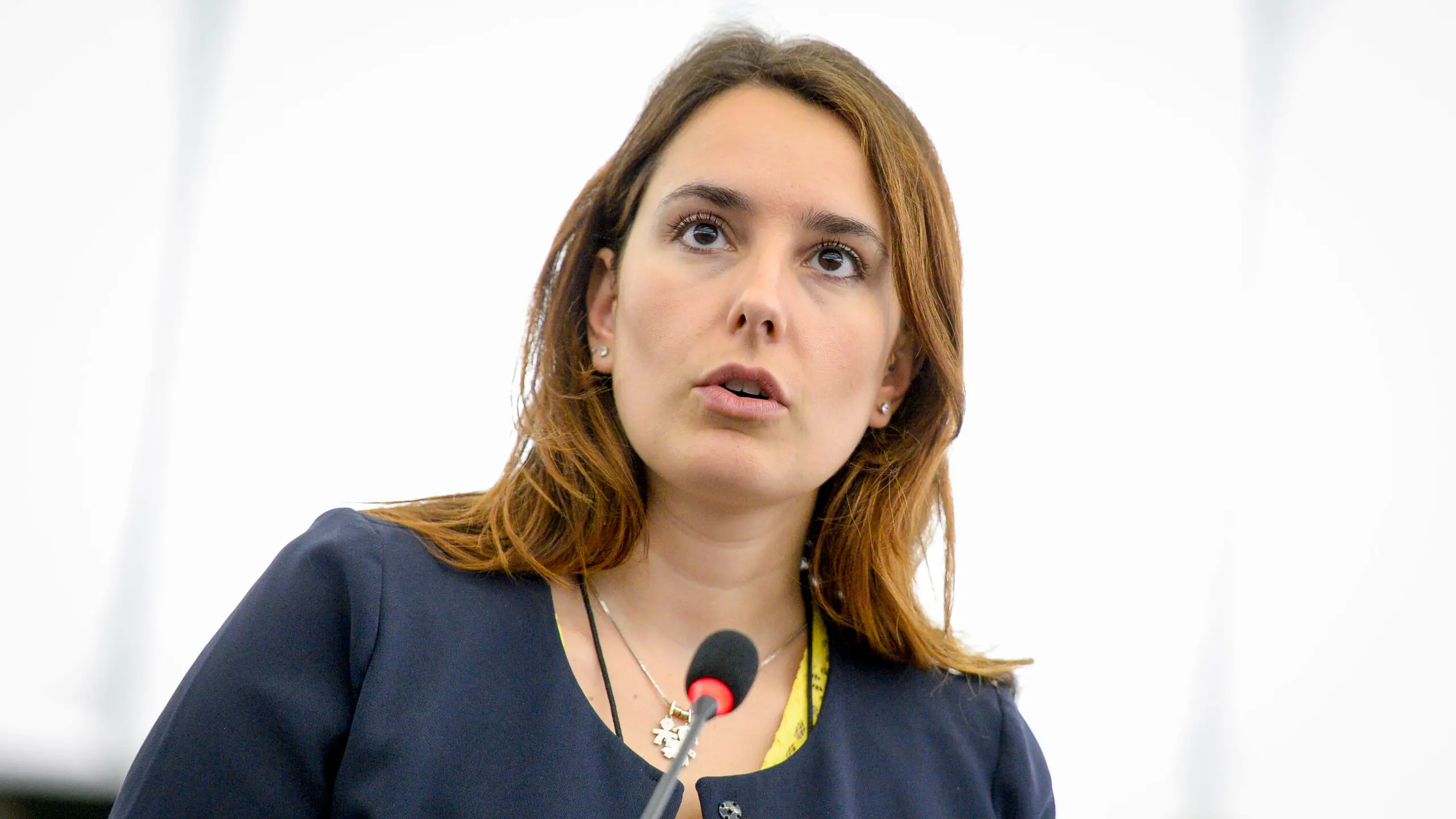 Plenary session week 27 2017 in StrasbourgDisclosure of income tax information by certain undertakings and branchesReport: Hugues Bayet, Evelyn Regner
