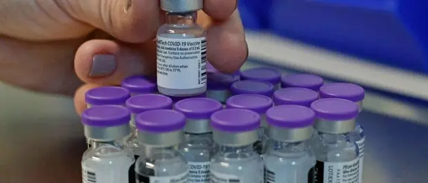 Vaccino Covid, Pfizer: «Forniture a regime da settimana prossima»