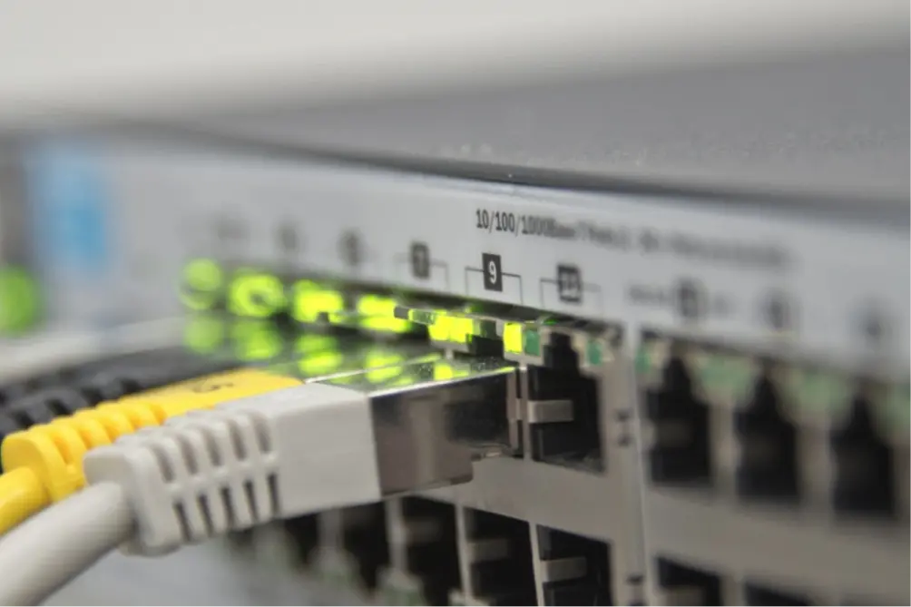 Il boom di internet anche in Calabria nel 2020
