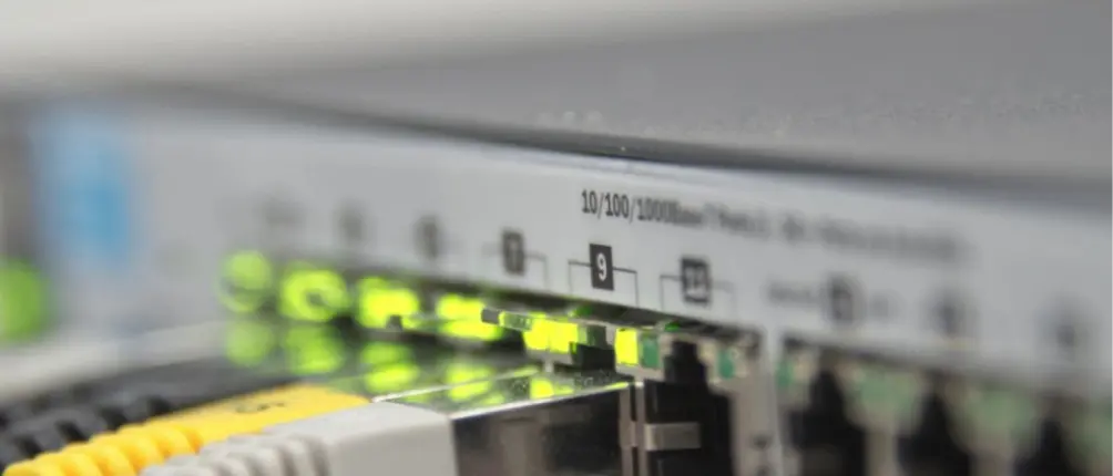 Il boom di internet anche in Calabria nel 2020