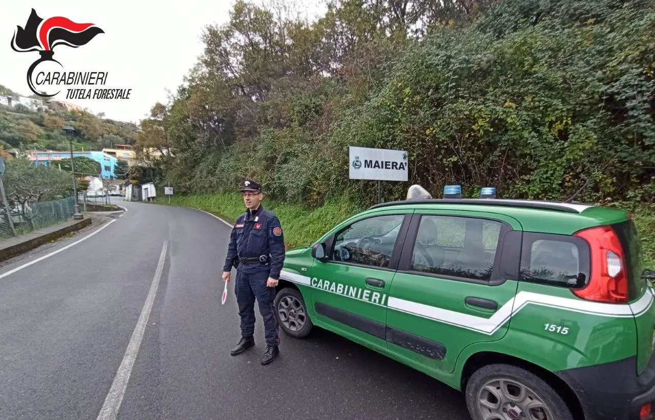 Maierà: abusivismo edilizio, sigilli per un manufatto
