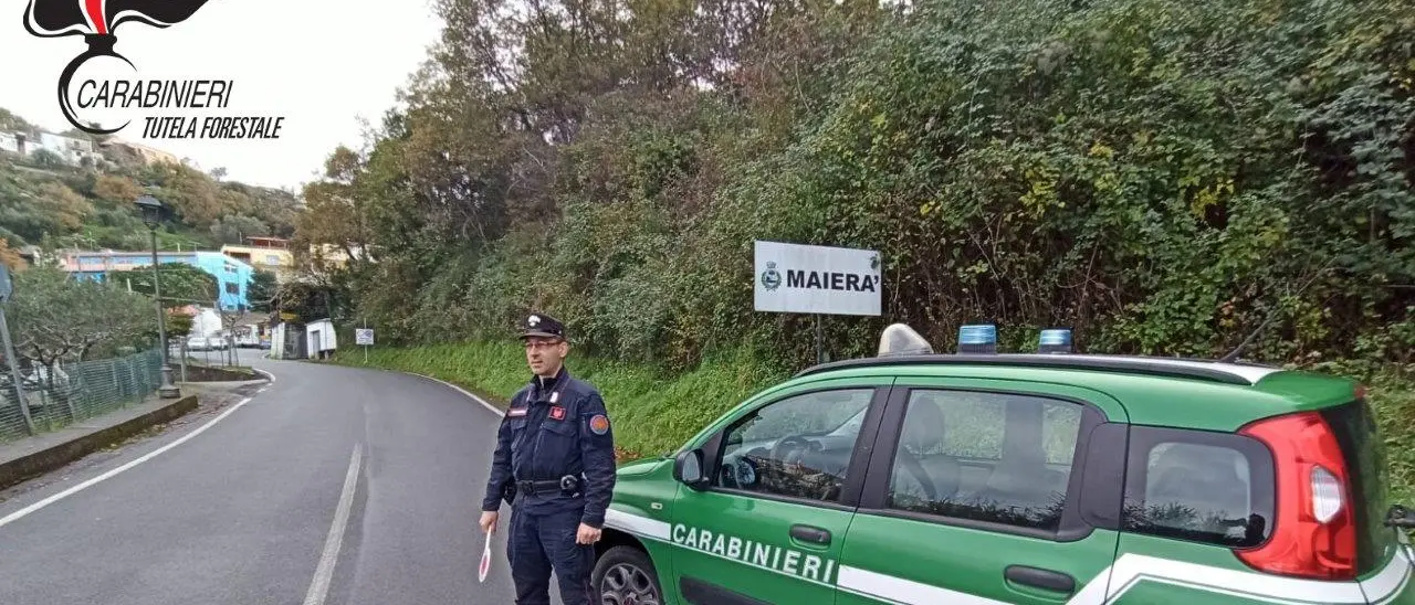 Maierà: abusivismo edilizio, sigilli per un manufatto
