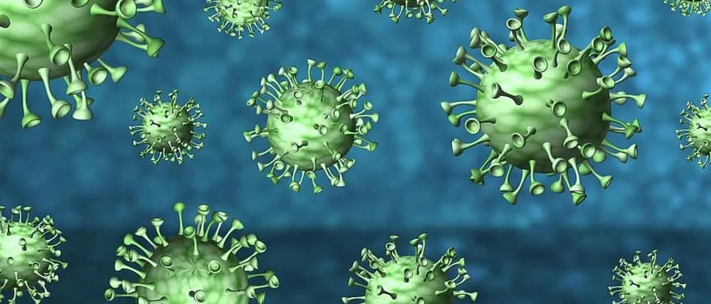 Il bollettino del 28 gennaio: in Calabria 302 nuovi casi di Coronavirus