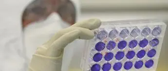 Coronavirus, \"nel mondo ci sono 4mila varianti\"