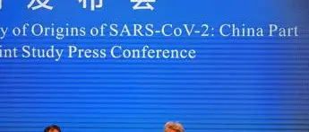 Covid, Cina: \"Origine pandemia da animale, ma non sappiamo quale\"
