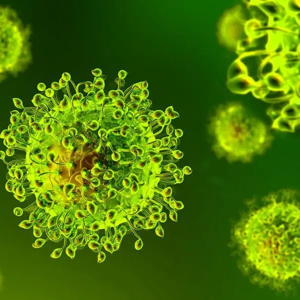 Covid, in Calabria riscontrati 11 casi di variante inglese