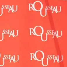 Governo Draghi, ecco il quesito su Rousseau